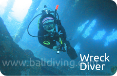 PADI Wreck Diver Specialty